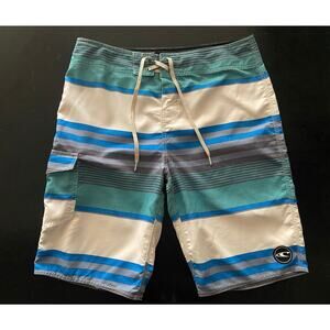 O'NEILL Blue/Gray/White Stripe 21" Boardshorts sz 31